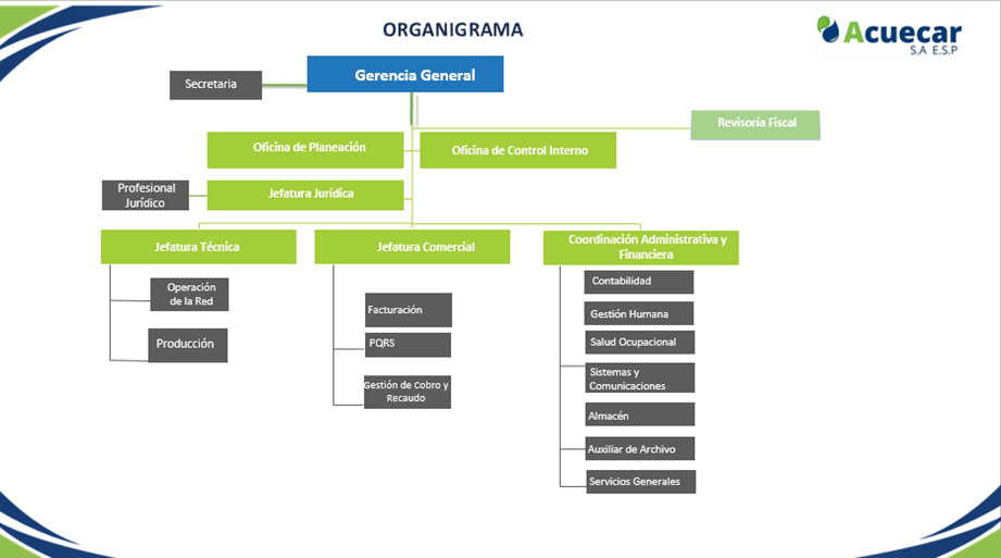 Organigrama 2024